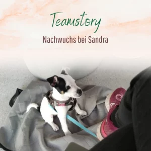 Blogbeitrag Teamnachwuchs Archie