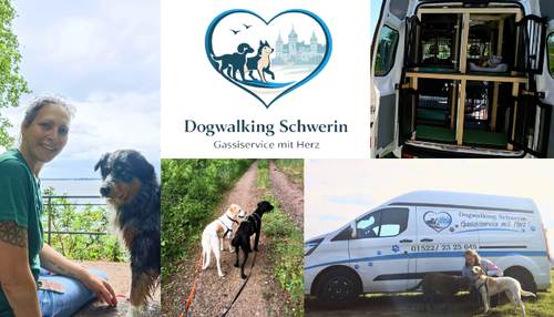 Dogwalking Schwerin