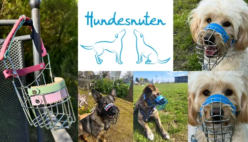 Hundesnuten