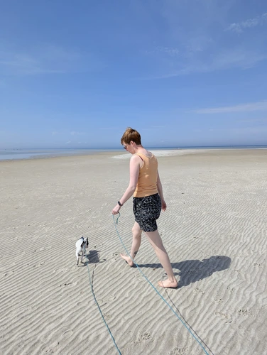 Welpennachwuchs Archie am Meer