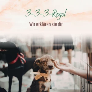Blogbeitrag 3-3-3 Regel
