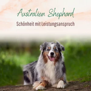 Blogbeitrag Australien Shephard