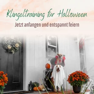 Blogbeitrag Klingeltraining Halloween