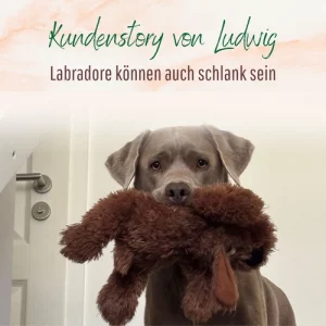 Blogbeitrag Kundenstory Ludwig