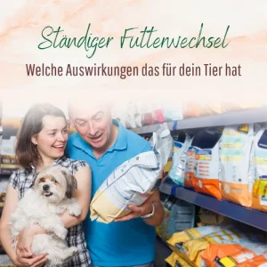 Blogbeitrag Ständige Futterwechsel
