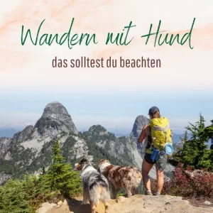 Blogbeitrag Wandern mit Hund