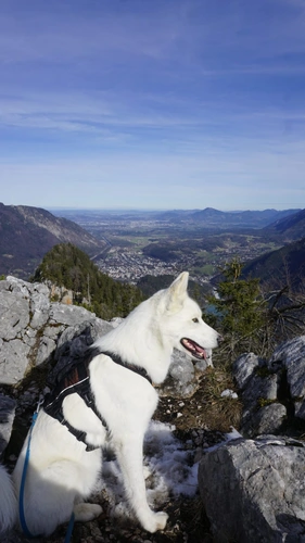 Wandern in den Bergen