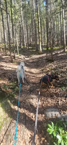 Wandern mit Schleppleine