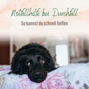 Durchfall beim Hund Blogbeitrag