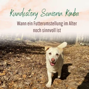 Blogbeitrag Kundenstory Kimba