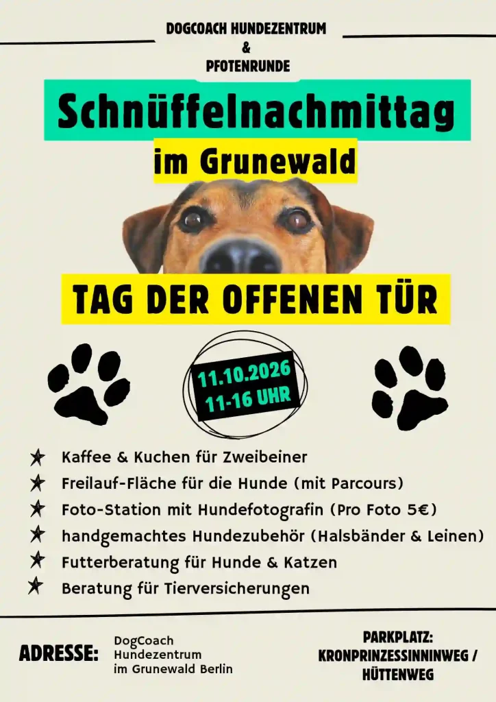 Event Schnüffelnachmittag