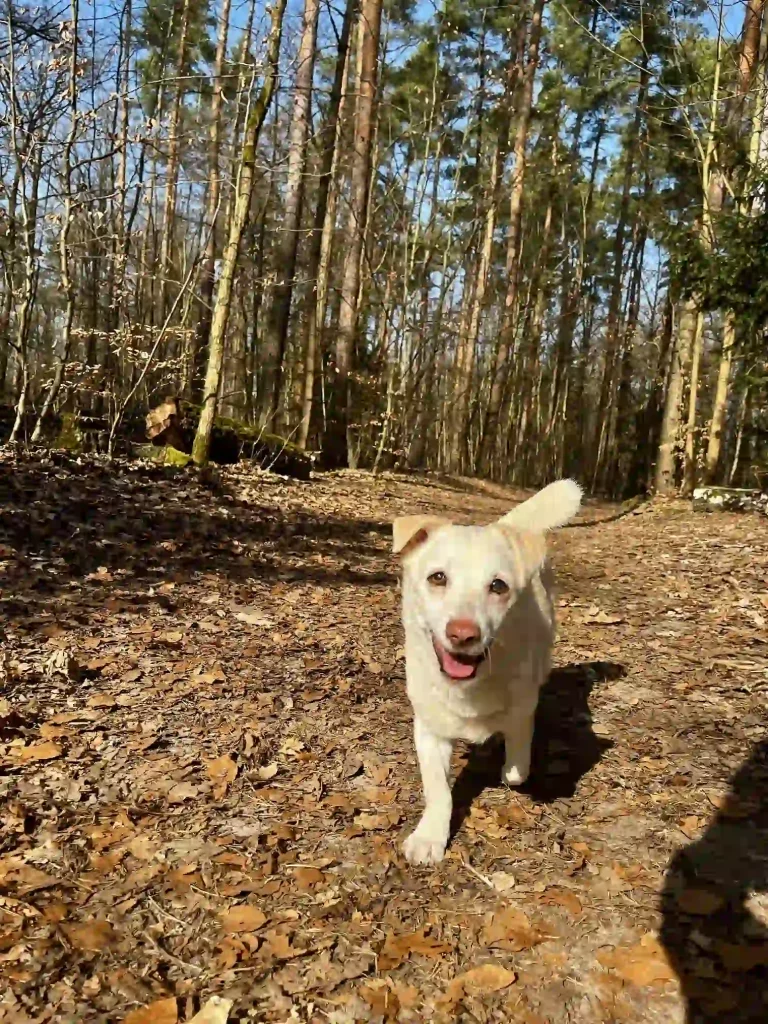 Kundenstory Kimba